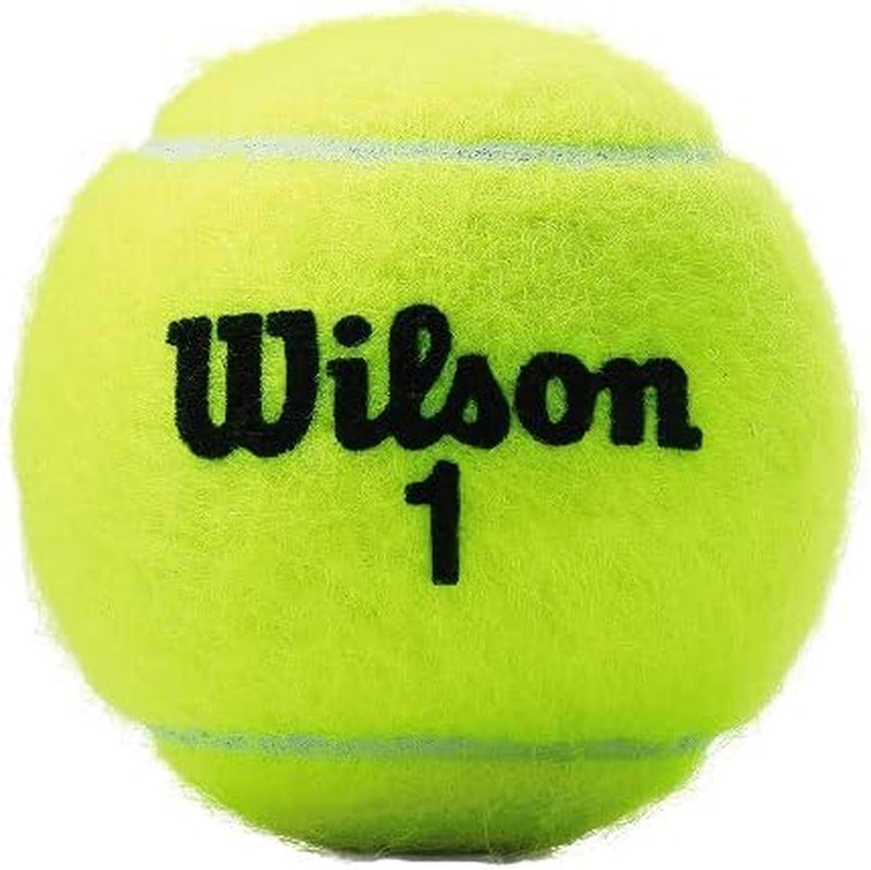 Championship Tennis Balls